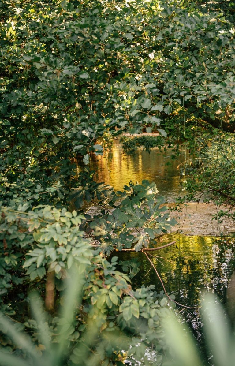 RIVIÈRE LE TABION RIVIÈRE LE TABION