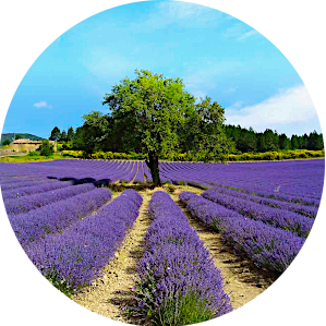 chambres d hotes de provence